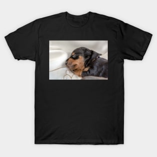 Sleeping puppy T-Shirt